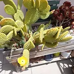 Autan Des Couleurs Frühstückspension Albi