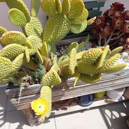 Autan Des Couleurs Panzió Albi