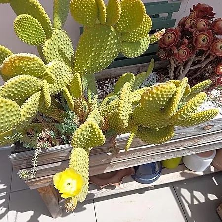 Autan Des Couleurs לינה וארוחת בוקר אלבי